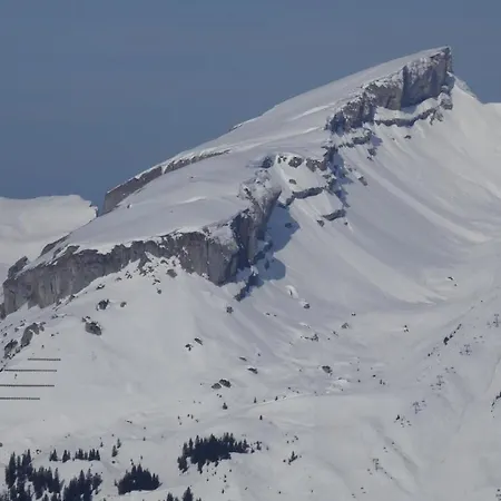 Adlernest Apartament Riezlern