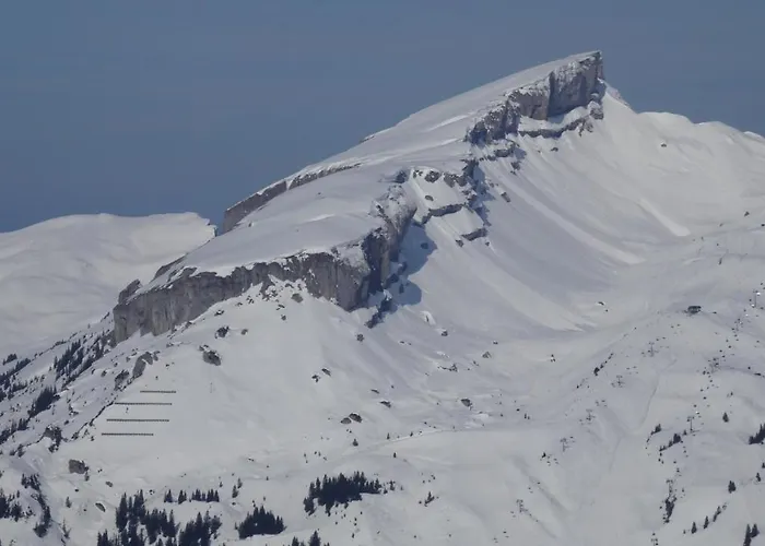 Adlernest Apartment Riezlern