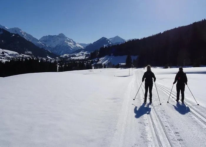 Adlernest Apartment Riezlern